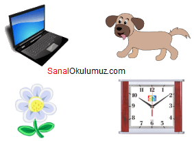 laptop köpek çiçek saat
